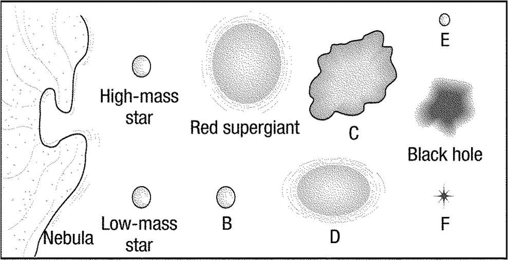 Stars And Galaxies Test Bank - Quiz